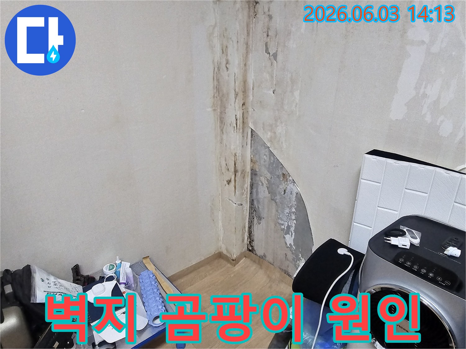 빌라-벽면에-누수로-인해-벽지가-손상되고-심각한-곰팡이가-번식한-모습을-촬영한-사진입니다