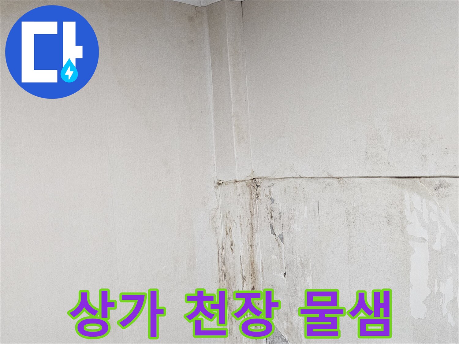 용인 상가 내부-누수로 인해 젖고 얼룩진 천장과 벽면