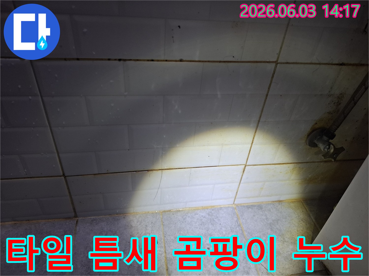 선유도-아파트-욕실-타일-틈새-곰팡이-누수-징후-정밀-진단