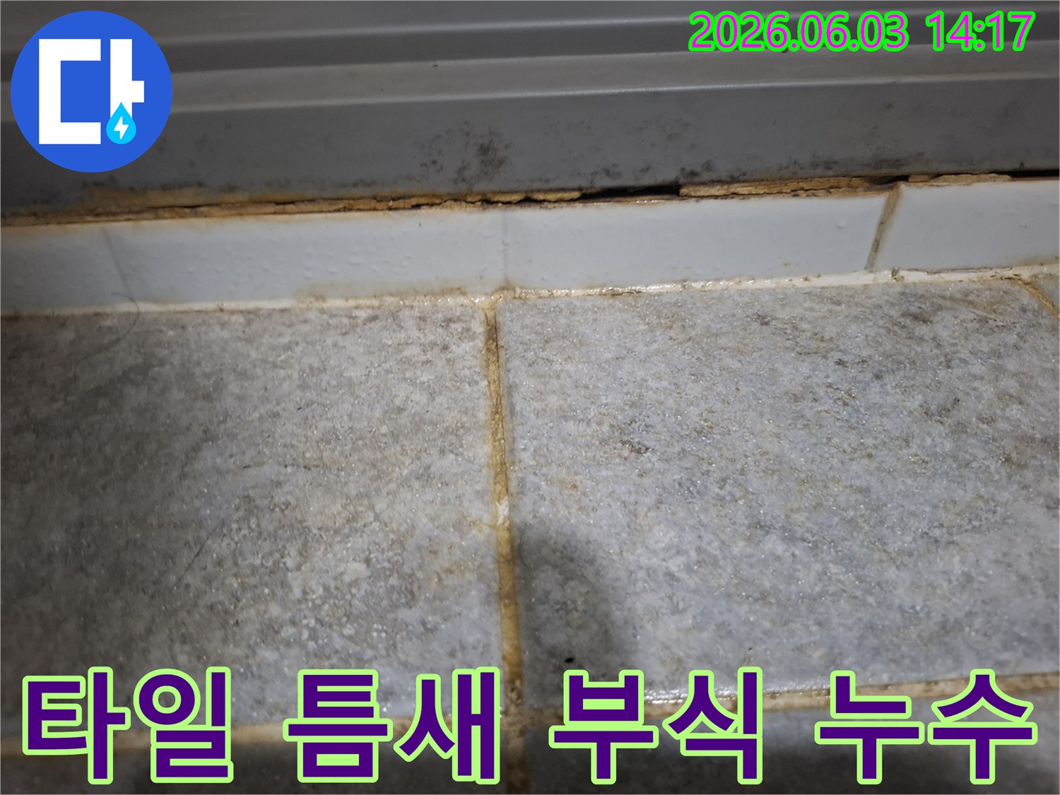오래된 타일 틈새로 물이 스며들어-부식과 곰팡이가 심하게 발생한 모습