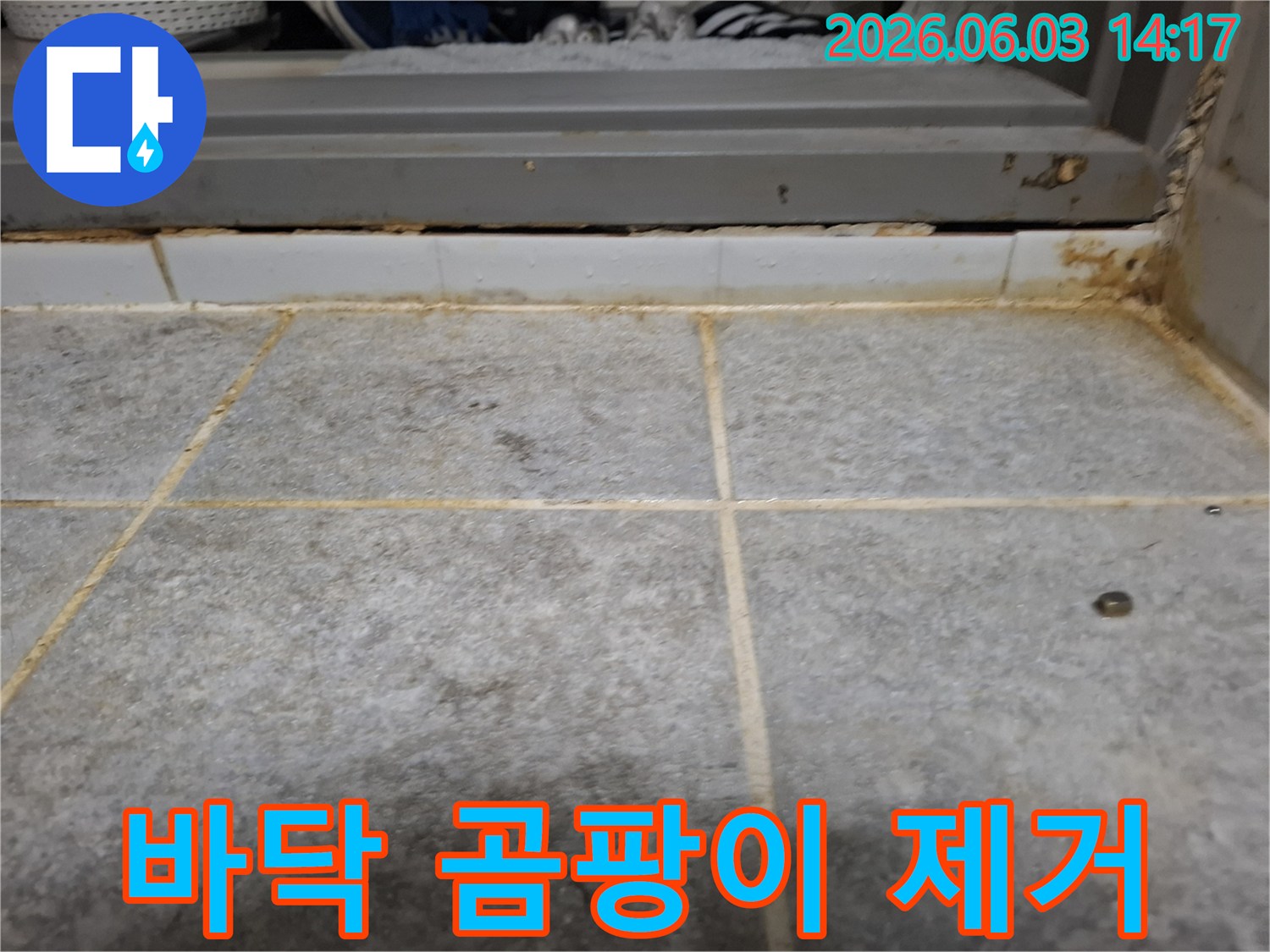 욕실 바닥 타일과 줄눈에 광범위하게 퍼진-곰팡이와 물때를 제거하기 전의 오염된 상태를 보여줍니다.