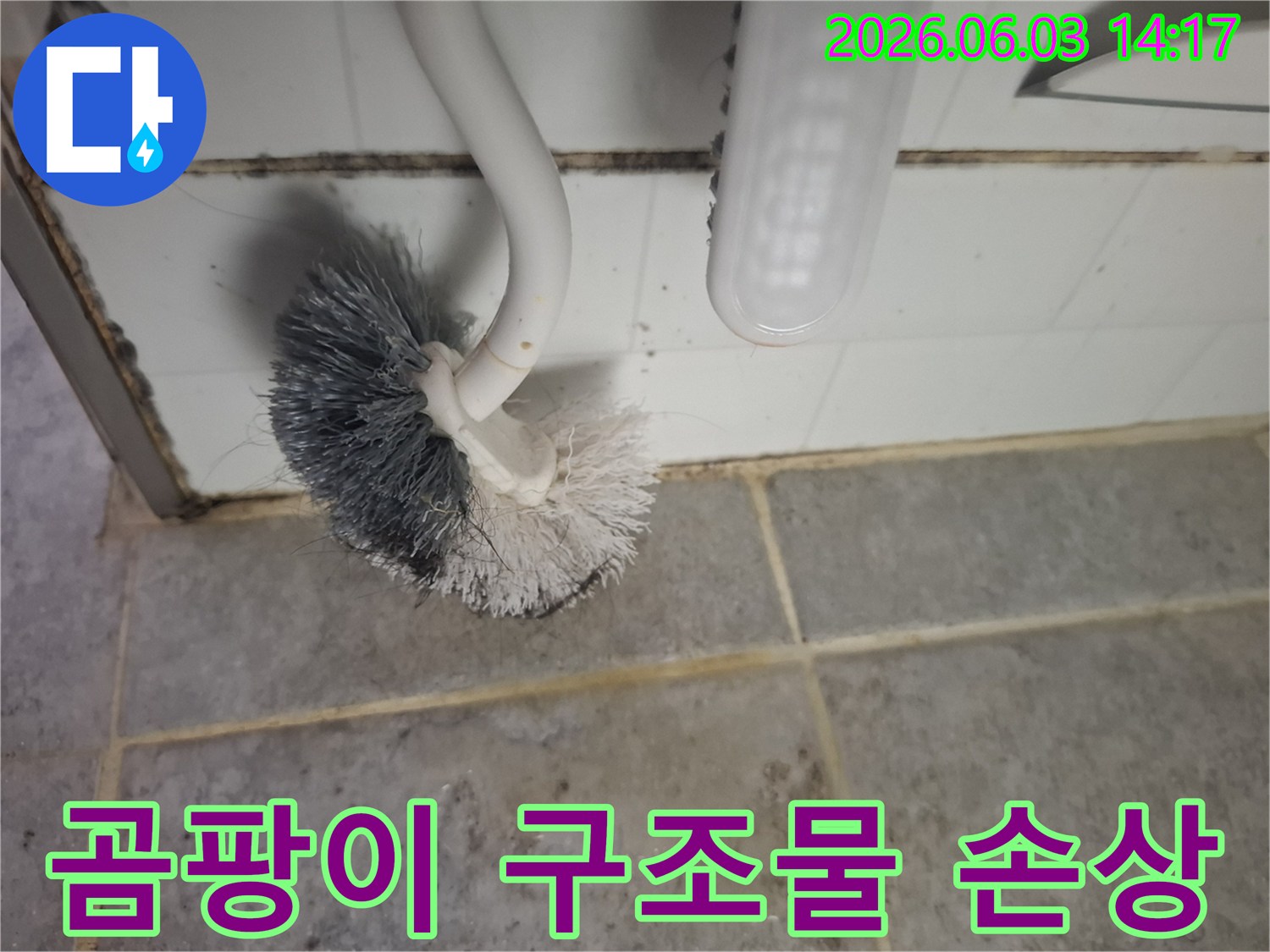 욕실 타일-줄눈에 번식한-심각한 곰팡이로-인한 구조물 손상-가능성을-보여주는 이미지입니다