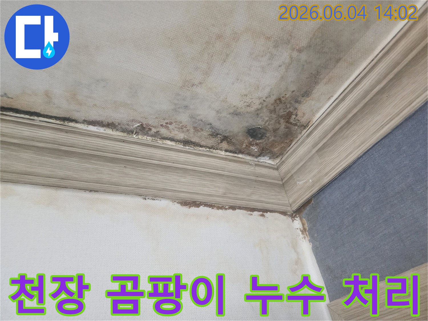 아파트 천장 모서리에-누수로 인해 발생한-검은 곰팡이와 물자국이 보이는-피해 현장 사진