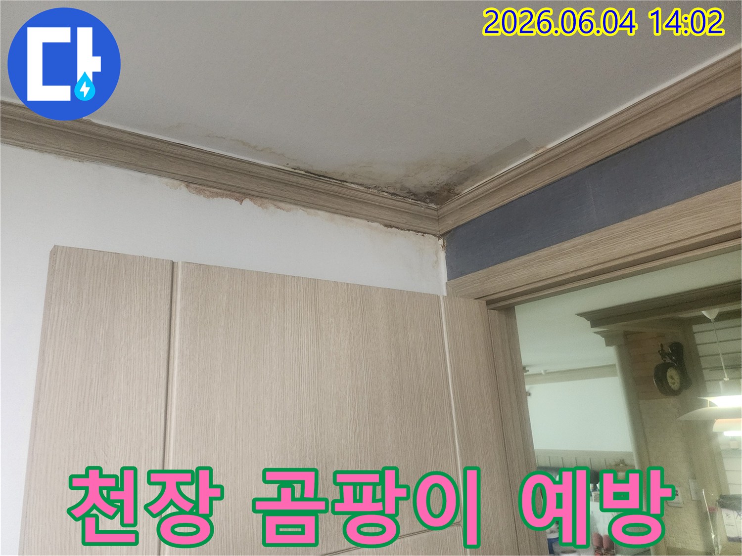 천장 모서리에 누수로 인한 곰팡이가 심하게 피어있어 곰팡이 예방 및 누수 관리 서비스가 필요한 현장입니다