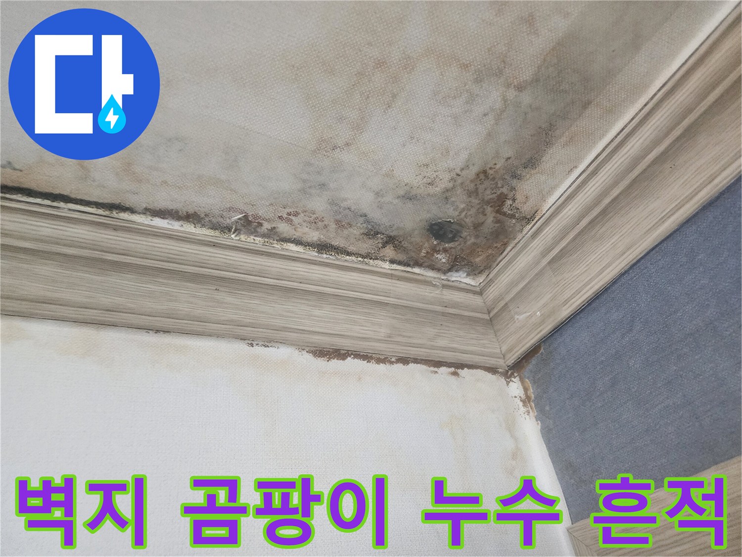 평택 빌라의 벽지에 발생한 곰팡이와-누수 흔적은-정확한 진단과-신속한 보수가 필요한 상황을 보여줍니다.