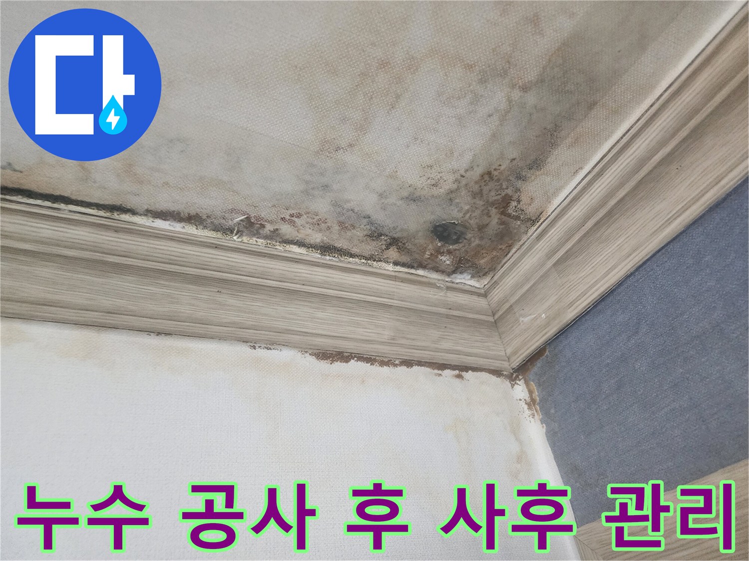 평택 아파트 천장 누수 공사 후-재발 방지를 위한-꼼꼼한 사후 관리와-안심 서비스를 제공합니다.