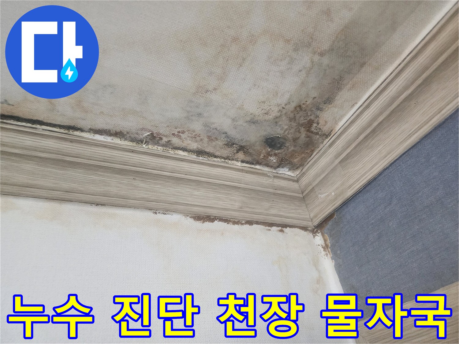 평택 아파트 천장에 생긴 물자국과-곰팡이는-정확한 누수 진단과-정밀 탐지 후 보고서 작성이 필요한 상황을 보여줍니다.