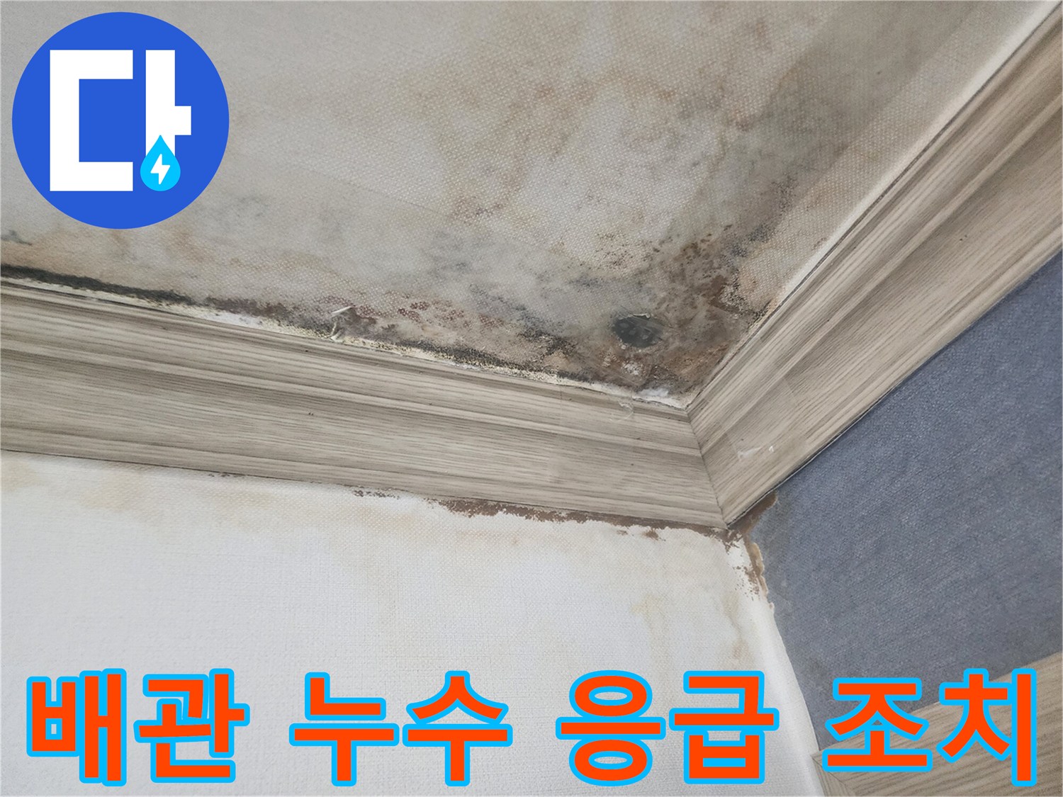 평택 아파트 천장에서 배관 누수로-인해 물방울이 맺히고-곰팡이가 번진 긴급한 상황으로-신속한 응급 조치가 필요합니다.