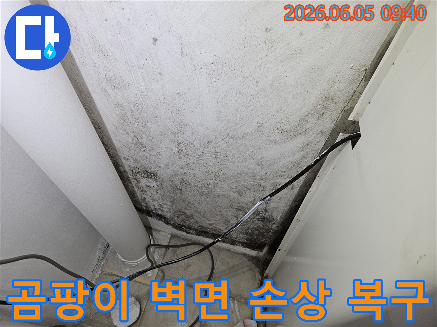 누수-공사-전문가가-곰팡이로-인해-손상된-벽면을-복구하기-위한-작업을-진행하는-모습