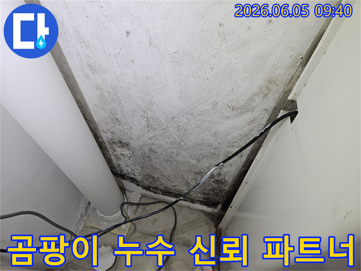 누수-탐지-업체-전문가가-곰팡이-누수-현장을-꼼꼼히-확인하며-신뢰할-수-있는-해결책을-제시하는-모습