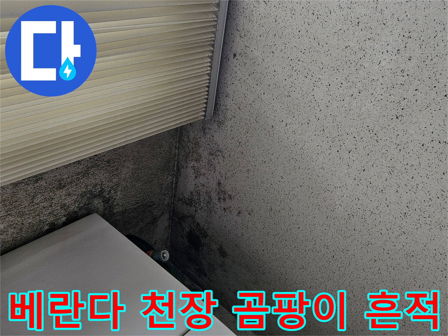 양주 아파트 베란다 천장의 곰팡이와 도색 박리 현상