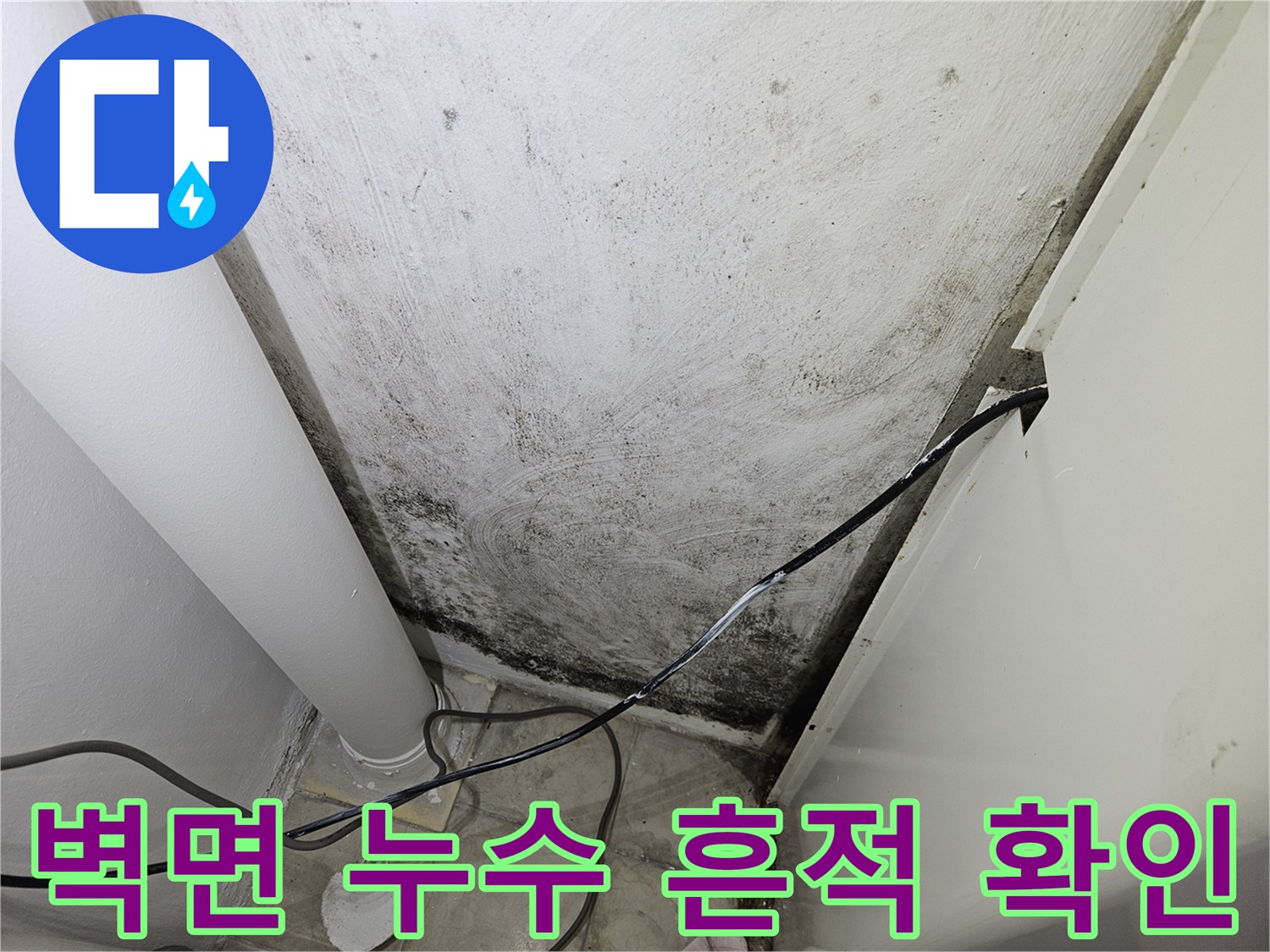 하얀 배관 주변에 발생한 짙은 색의 곰팡이와 벽면 오염 상태