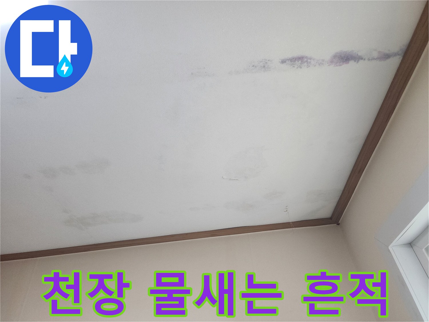 천장에서 물이-새어 나와-얼룩진 모습을-보여주는 사진