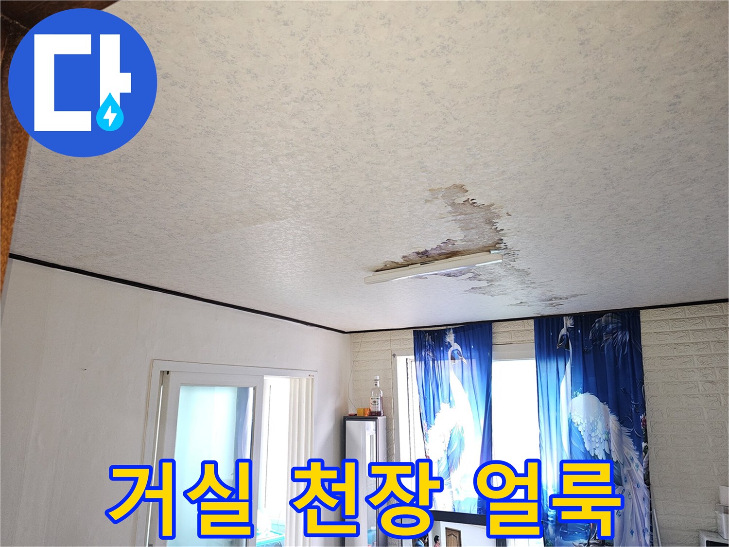 천장 벽지 중앙에 나타난 습기 침투로 인한 심한 변색 및 젖음 현상