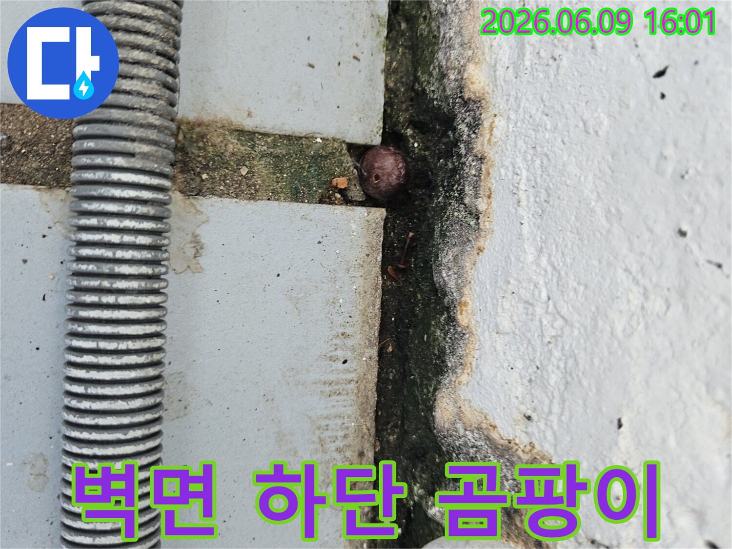 벽면 하단에 넓게 퍼진 곰팡이와-균열 사이의 작은 이물질-그리고 주변의 오래된 배관을 보여주는 누수 현장 사진