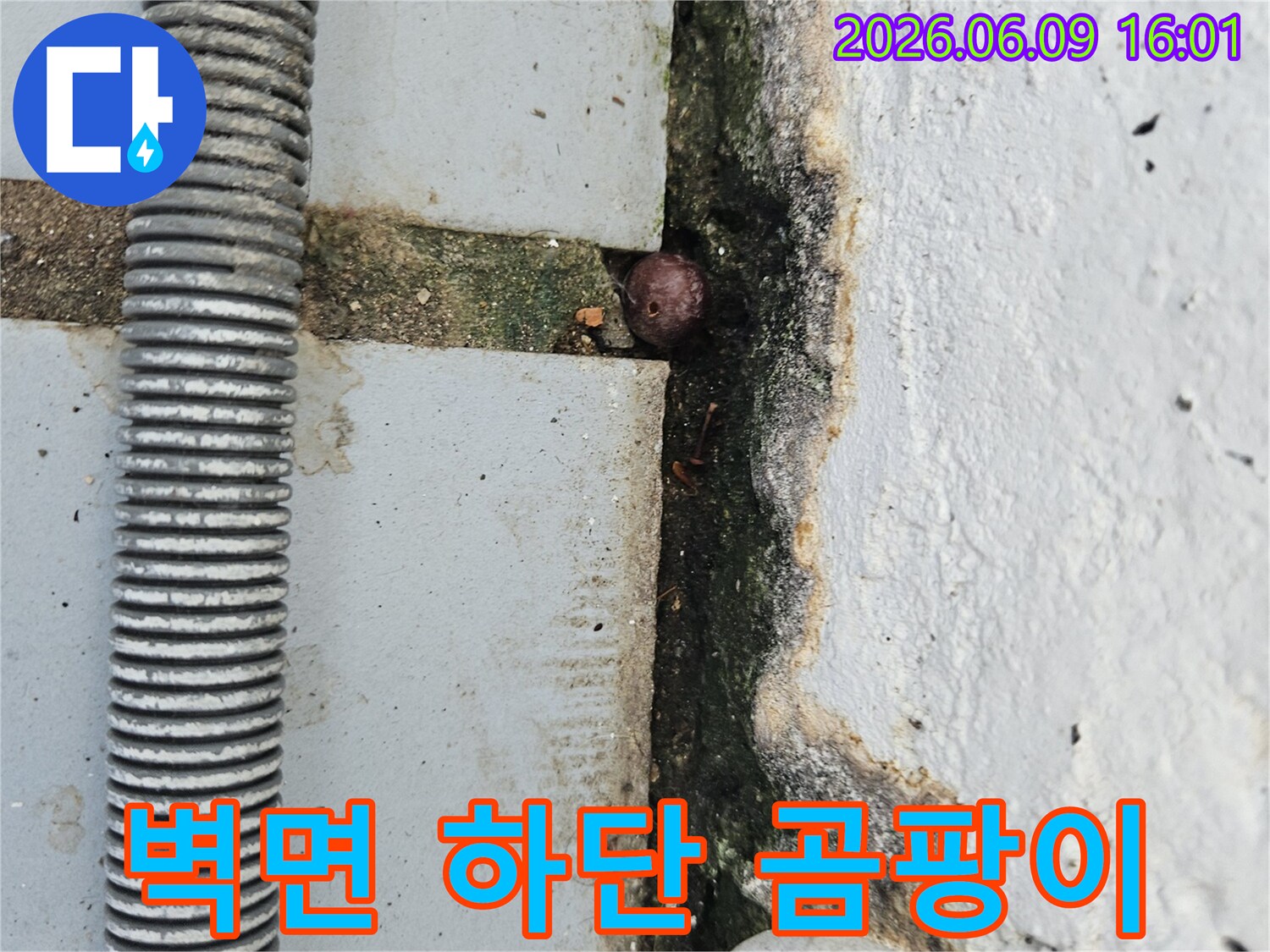 벽면 하단에 넓게 퍼진 곰팡이와-균열 틈새의 이물질-그리고 주변의 오래된 배관을 보여주는 누수 현장 이미지