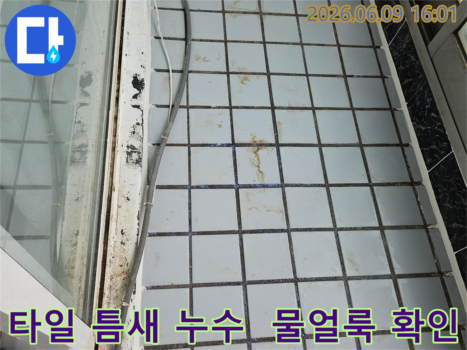 의정부 한신아파트 누수 현장에서-타일 틈새로 스며든 물로 인한-오염 상태를 면밀히 살펴보는 과정