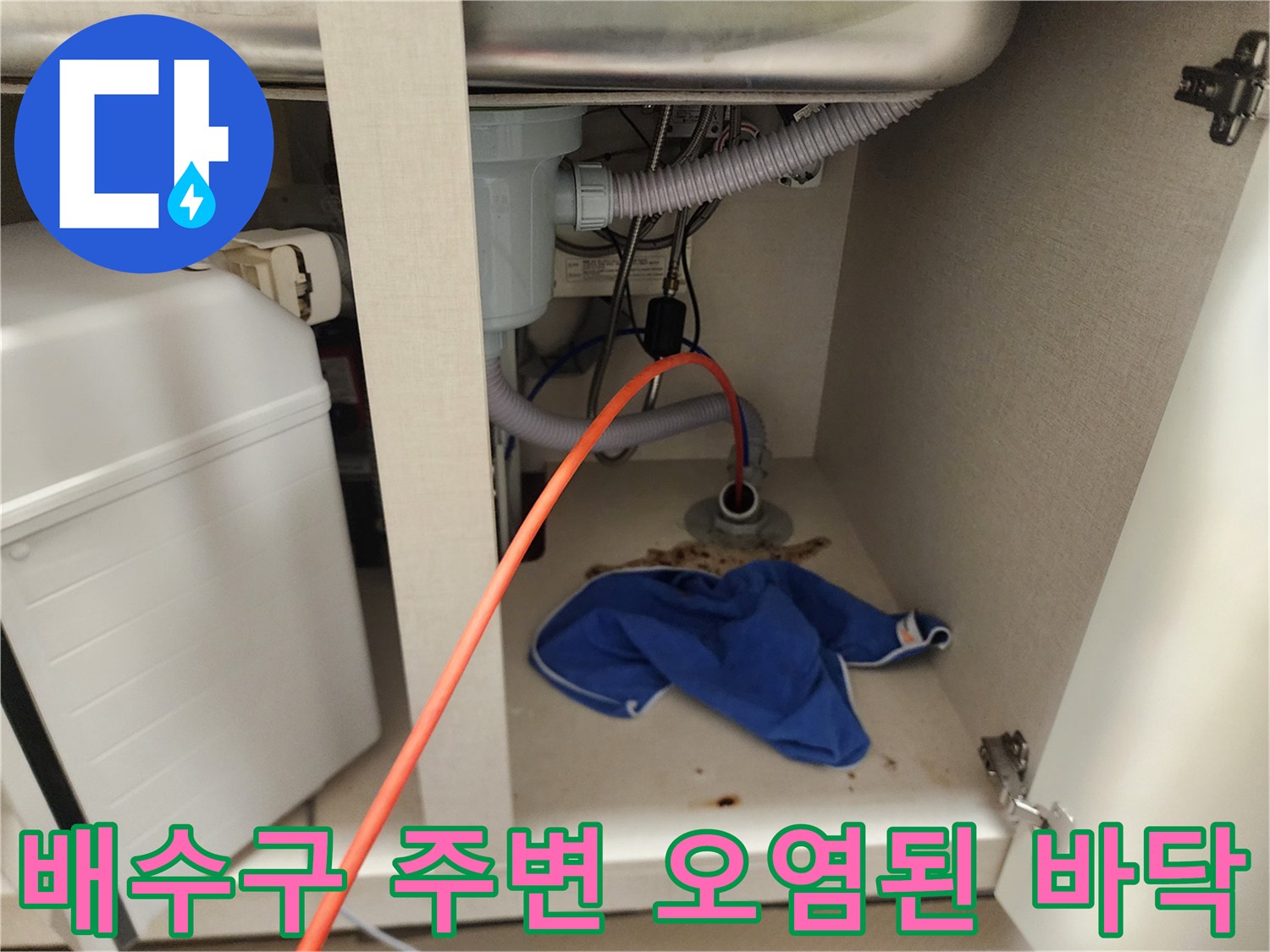신정동 현장-싱크대 하단 배수구 근처의 역류 흔적과 오물