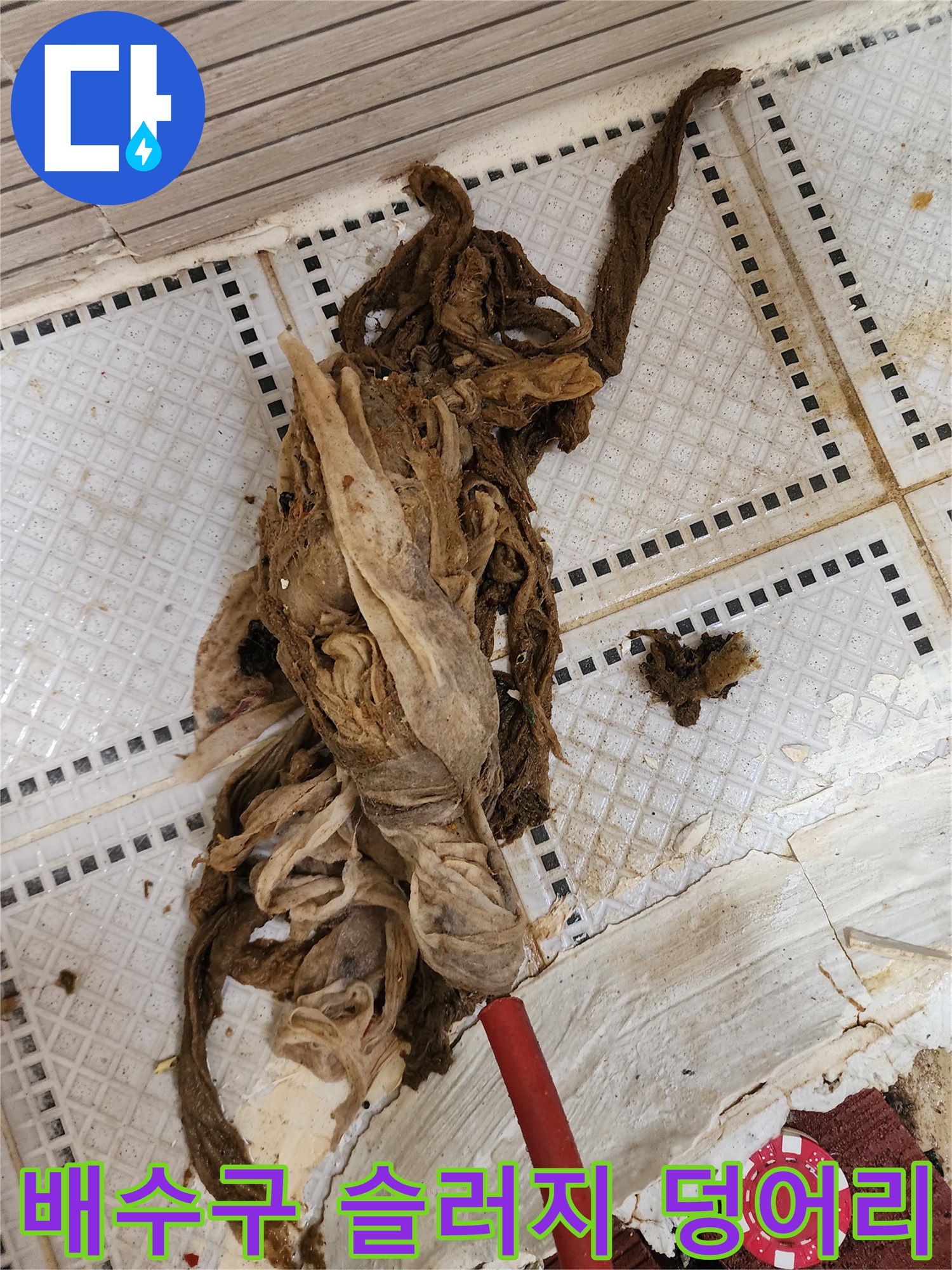 하수관에서 인양된 머리카락과 섬유질 오염물