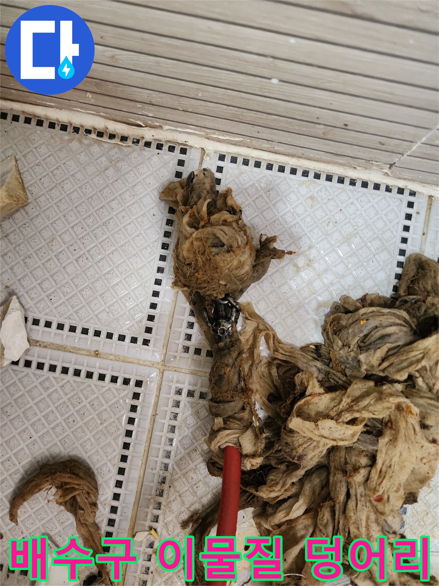 화장실 배수구에서 끌어올린 머리카락과 섬유 찌꺼기 뭉치