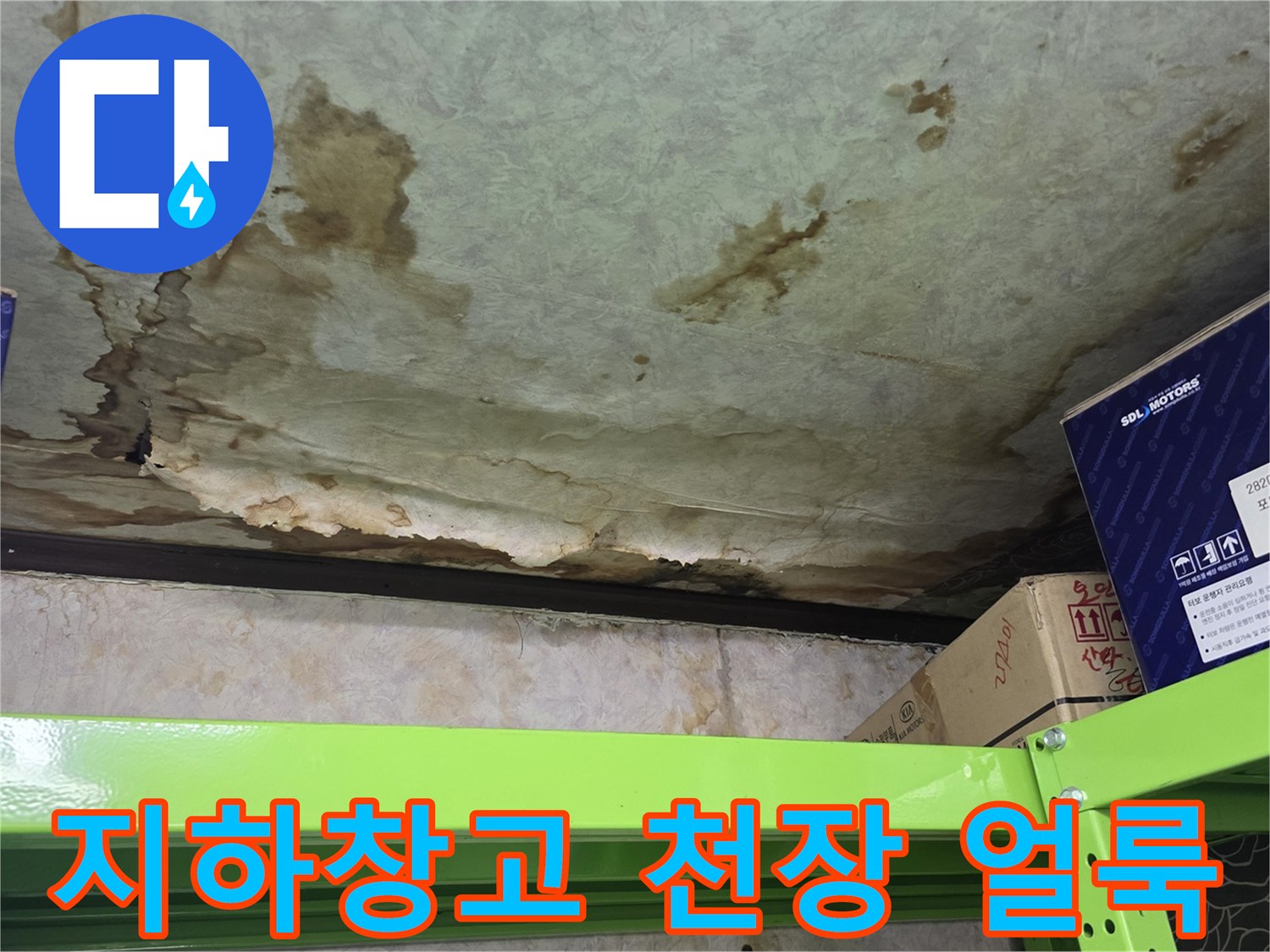 양주 은현면-지하 창고 천장의 누수 흔적과 얼룩 상태를 보여주는 사진