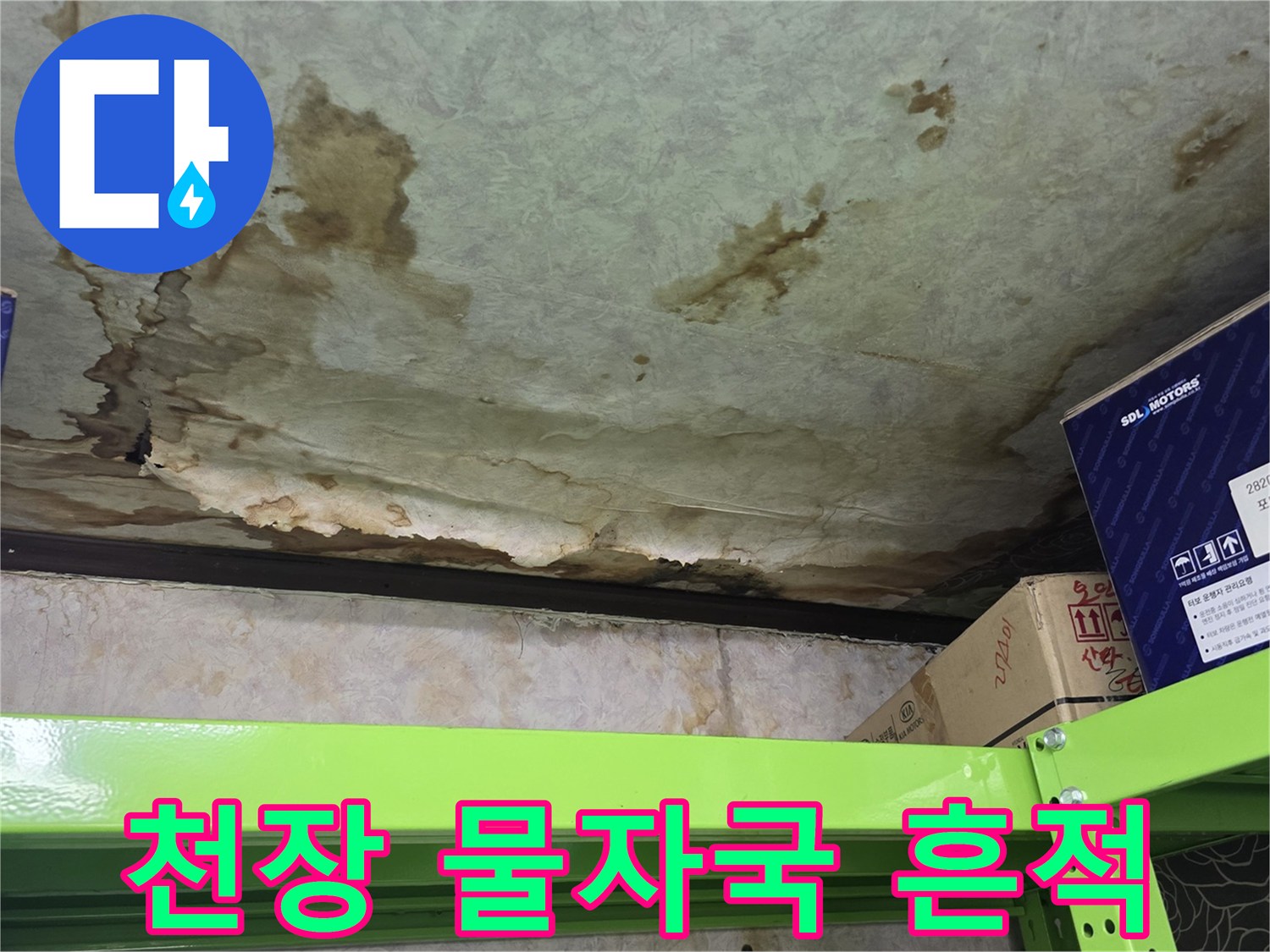 지하 창고 천장에 넓게 퍼져 있는 누수 유입 경로와 얼룩