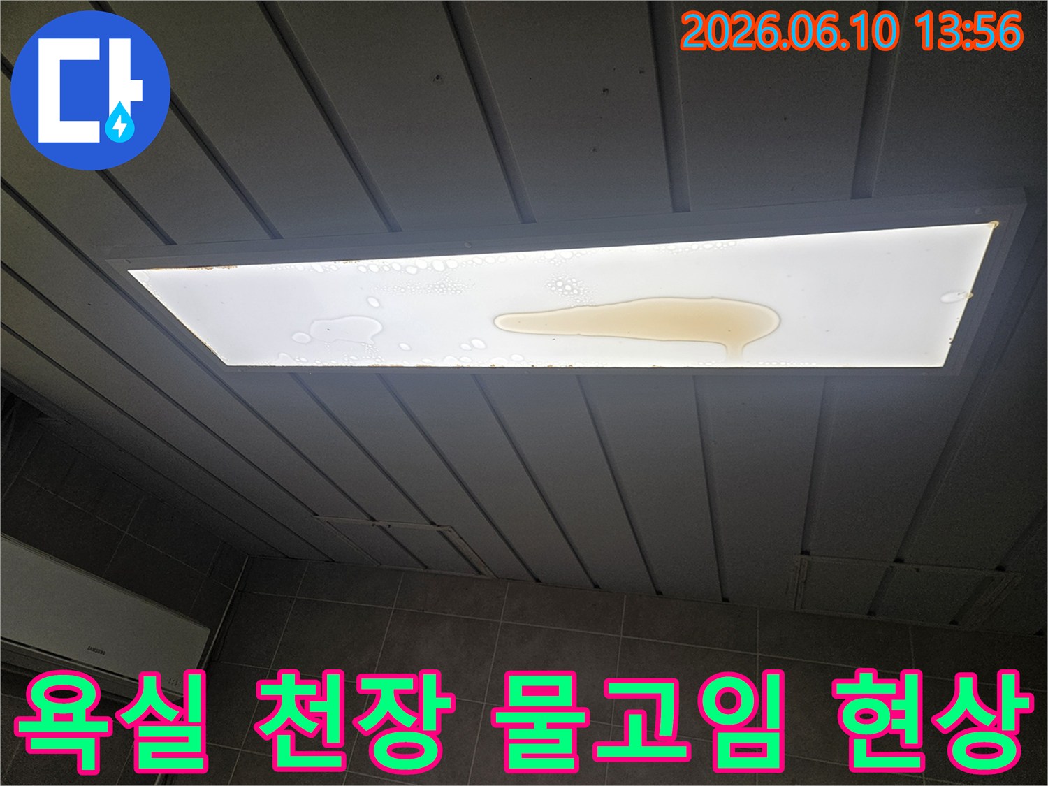 욕실 천장 조명등 커버에 노란색 물이 고여있는 심각한 누수 상황을 보여줍니다-이는 즉각적인 조치가 필요한 문제입니다.