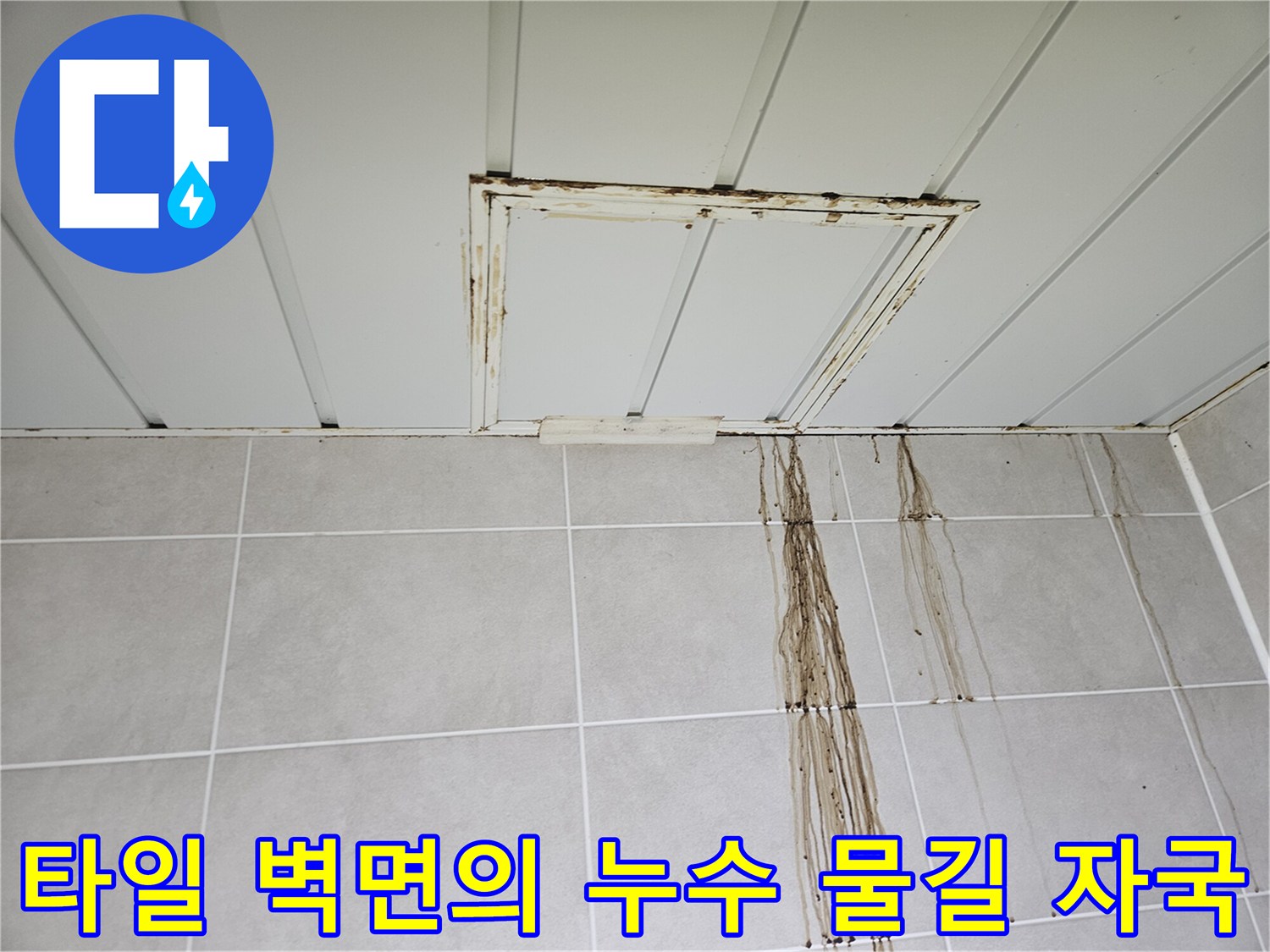 점검구 주변 오염된 천장 - 타일 사이로 흐른 누수 흔적 확인