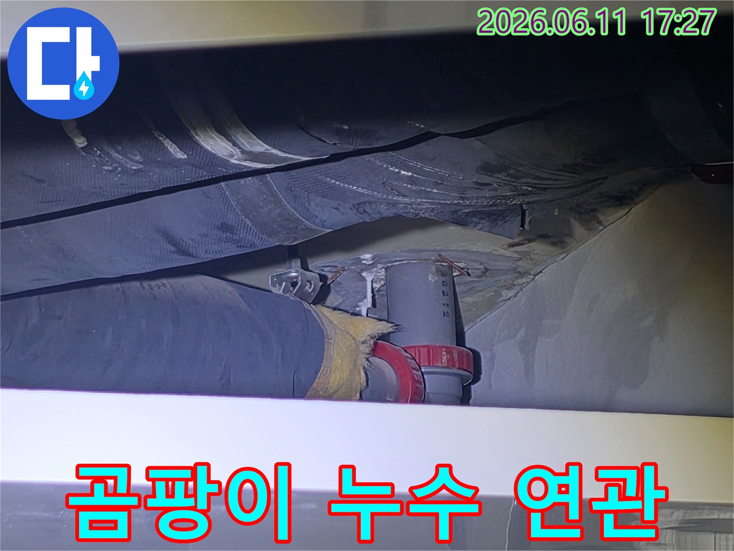 전문 엔지니어가-배관 주변에 발생한 곰팡이와-누수 흔적의 연관성을 분석하며-누수 원인을 다각도로 진단하고 있습니다