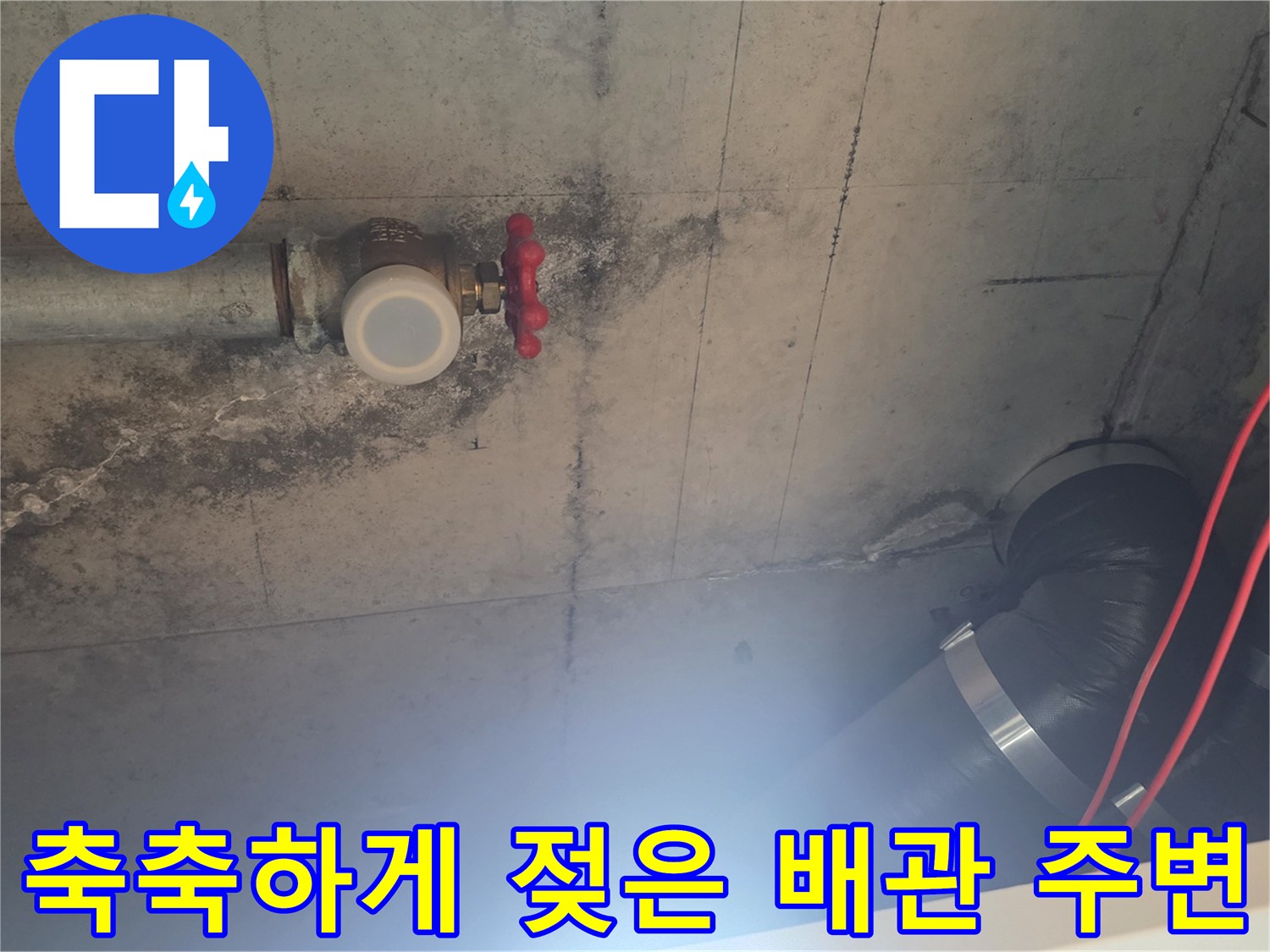천장-배근-연결부-주변의-습기-및-콘크리트-오염