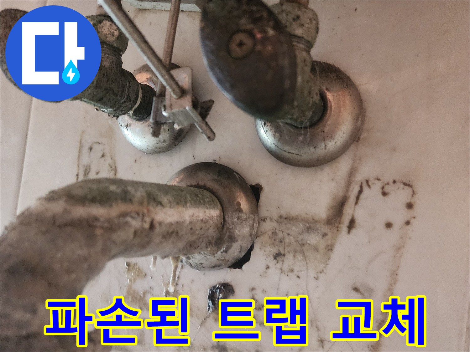 욕실-세면대-하수구에서-물이-새어-나와-변기-쪽으로-유입되는-현상입니다-누수-엔지니어가-정밀-진단을-통해-원인을-파악했습니다