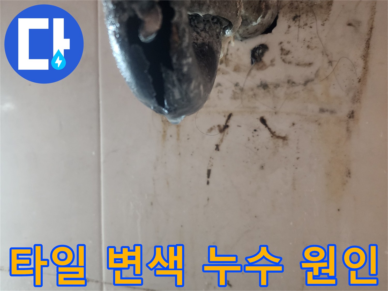 타일-변색과-곰팡이가-심하게-발생한-누수-현장을-보여주는-사진입니다