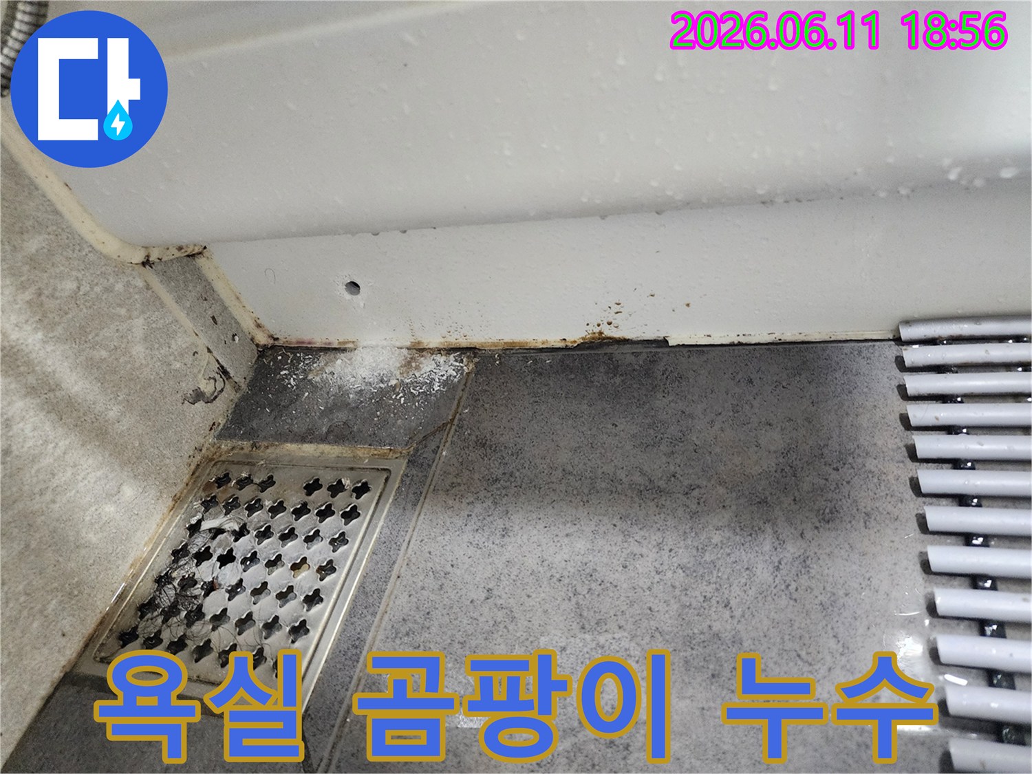 이 이미지는-서울 동대문구 쌍용아파트 욕실에서-발견된-누수로 인한-곰팡이와-벽면의-백화 현상을-보여줍니다