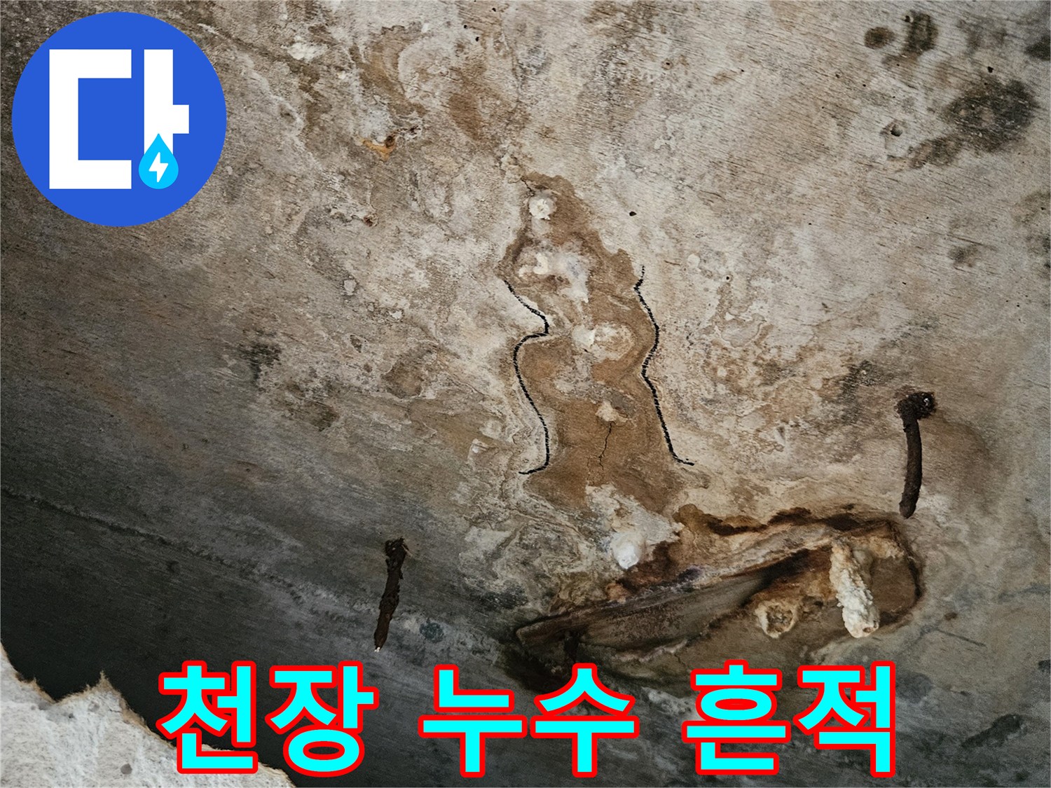 동작구-사당동-천장-누수-및-곰팡이-발생-상태