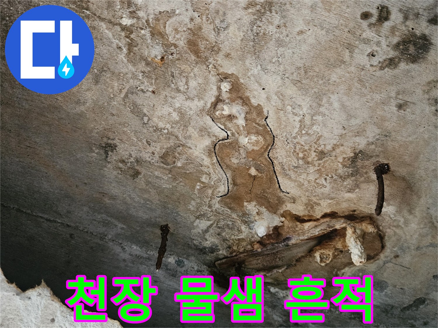 동작구-아파트-천장-물샘-및-곰팡이-발생-상태