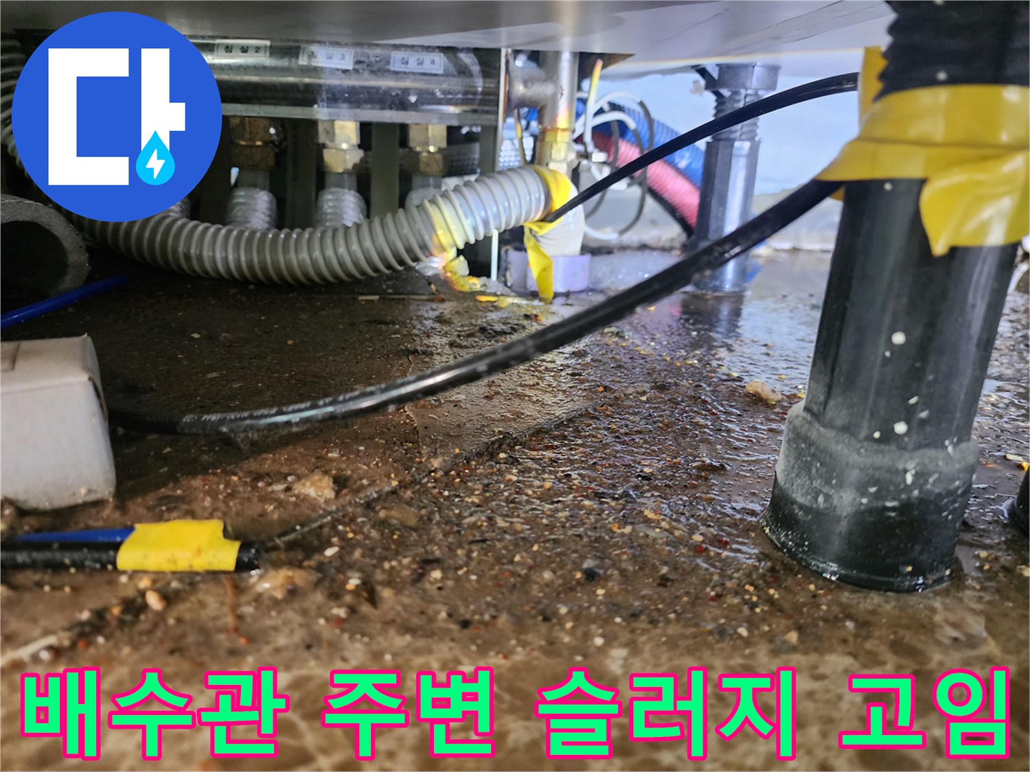 주름관 아래쪽 바닥에 오염된 물과 찌꺼기가 역류한 모습