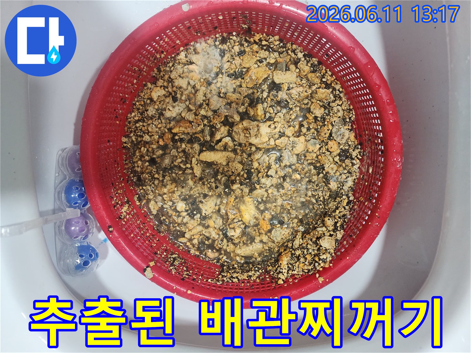 채반에 모인 누런 기름 덩어리와 배관 스케일링 부산물