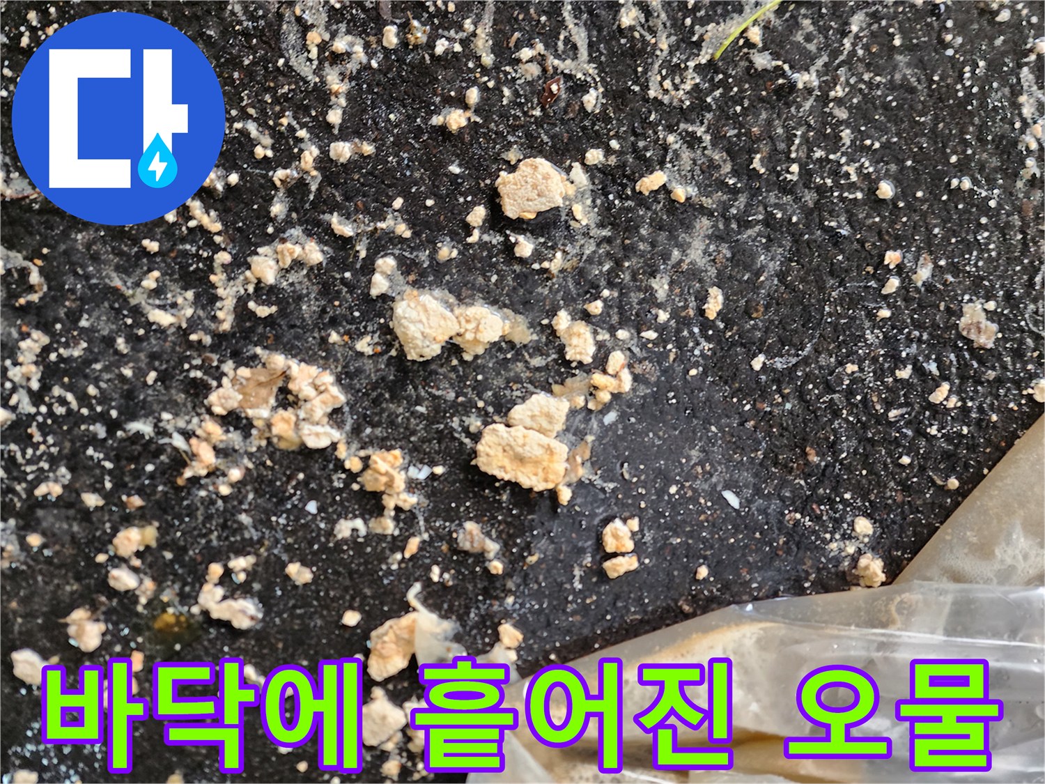 주차장 아스팔트 바닥에 퇴적된 하수 슬러지 조각들