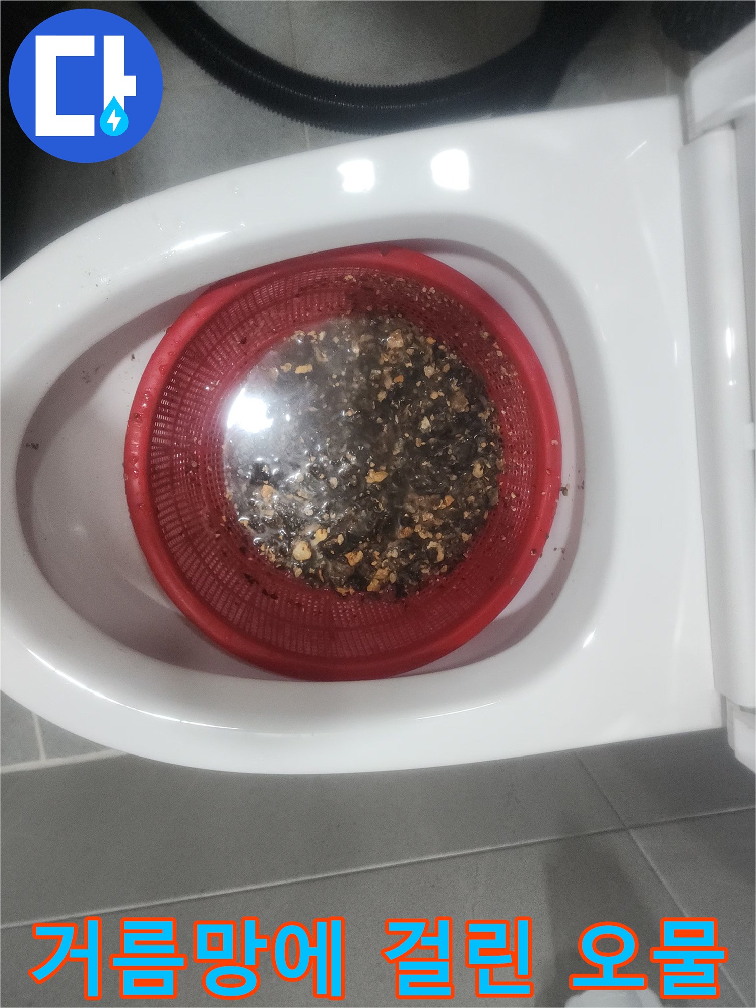 변기 하수구에서 수거한 배관 내부 슬러지 덩어리