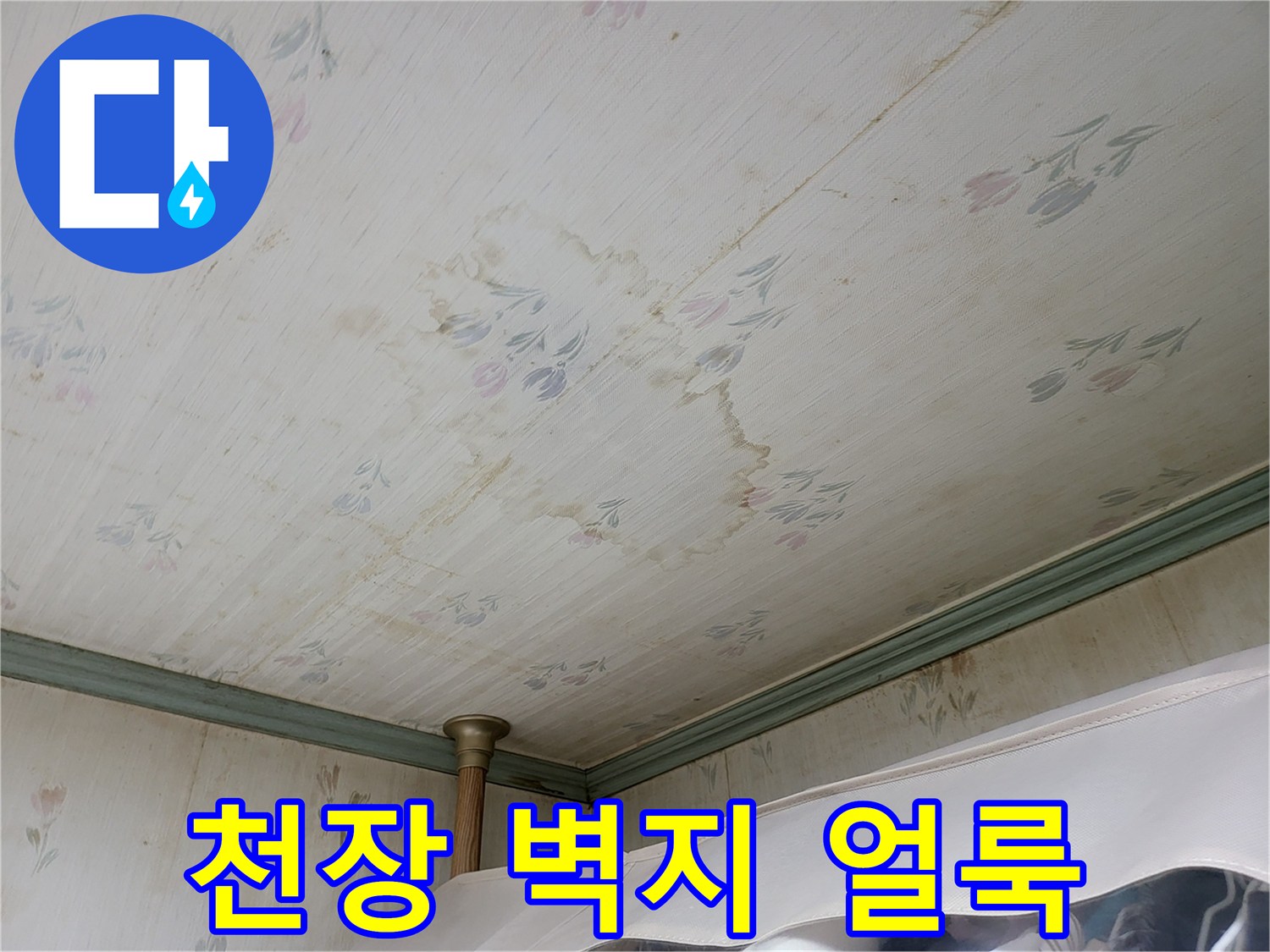 아파트 천장 벽지에 발생한 누수 흔적과 변색된 부분