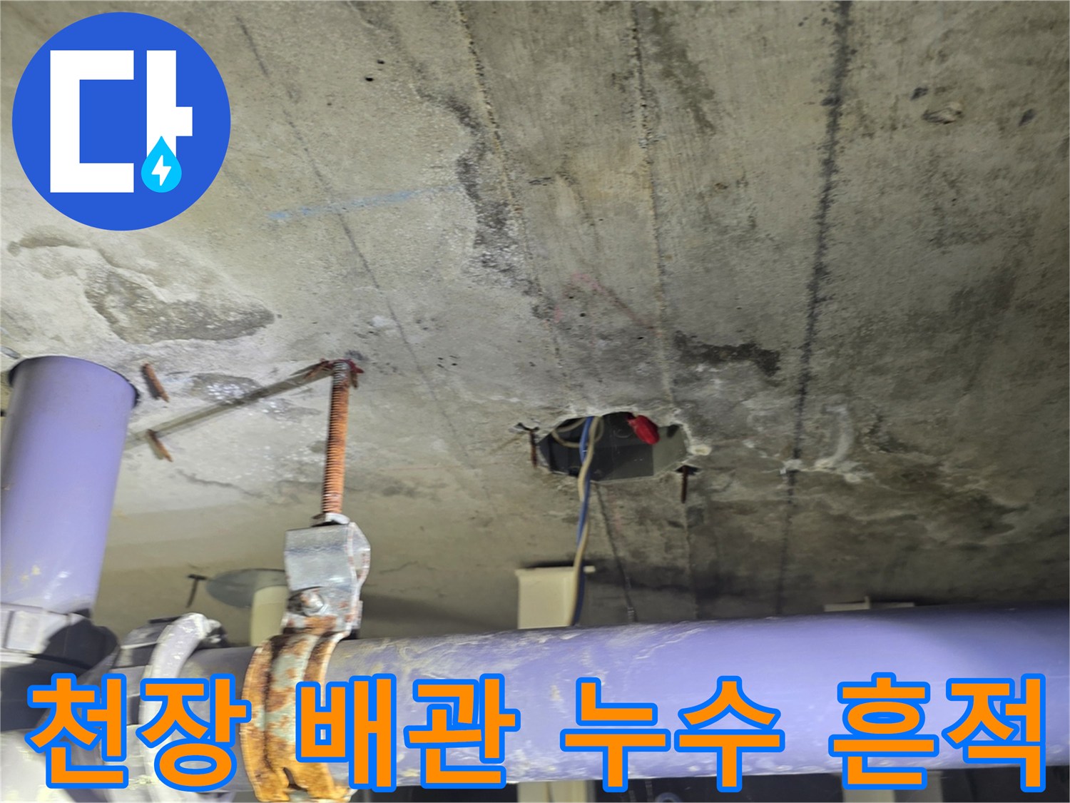 보라색 PVC 배관과 천장 콘크리트의 습윤된 얼룩 부위 상세 사진