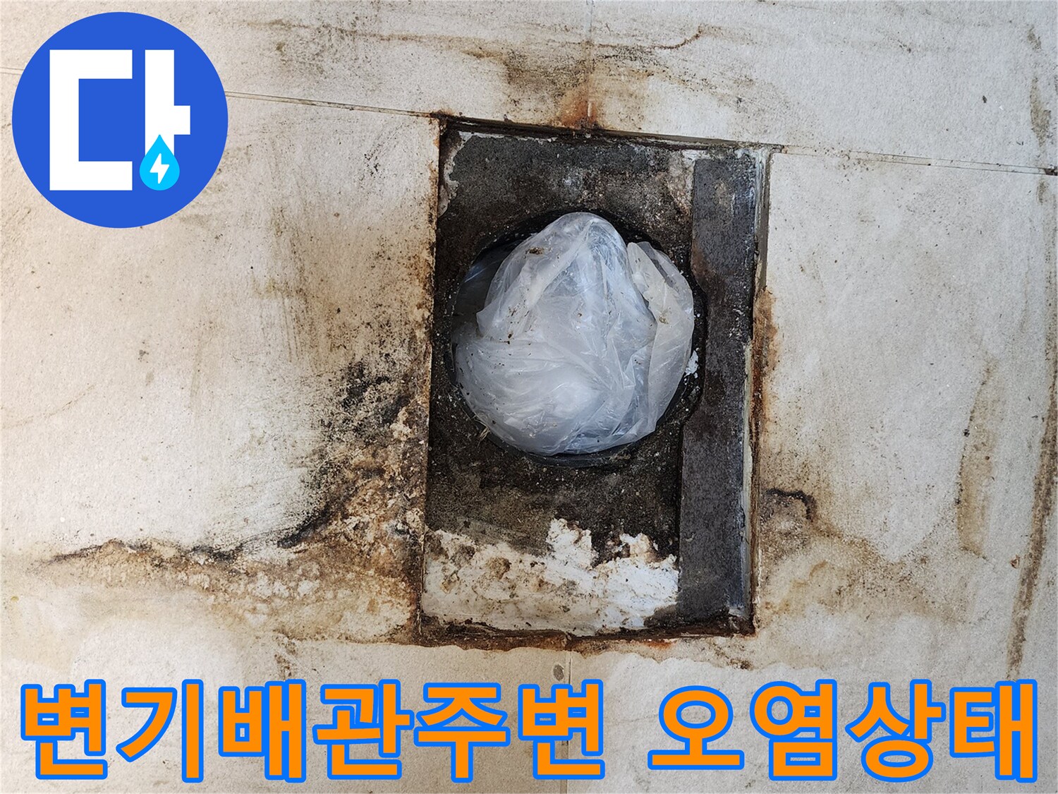 변기 하단 배관 주변의 곰팡이와 타일 오염 상태를 보여주는 사진입니다.