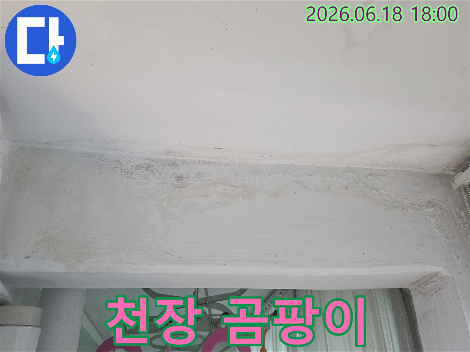 아파트-천장-곰팡이-누수-로-인한-벽지-손상-구리-쌍용아파트-현장