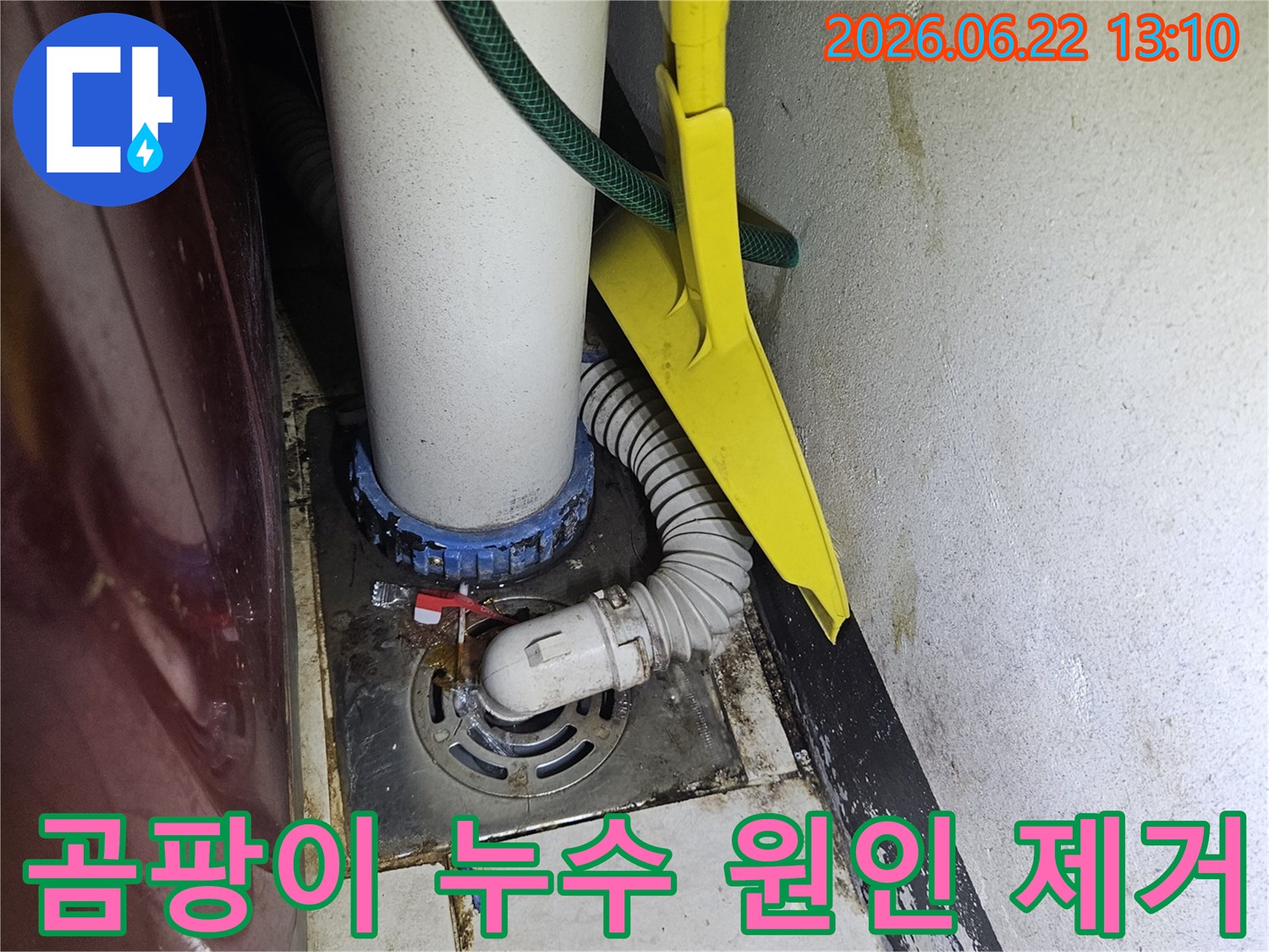 화장실-배수관-주변에-발생한-곰팡이의-원인이-누수로-판단되어-누수-지점을-찾아내고-제거하는-작업을-위해-점검하는-모습