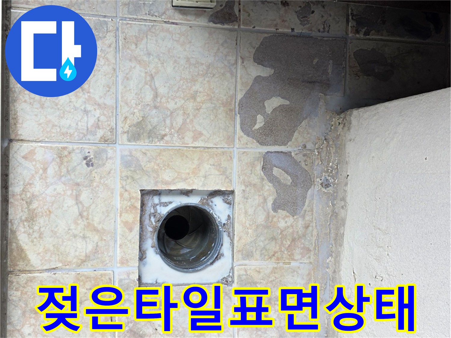 수택동 현장 사진 - 배수구 주변의 젖은 타일과 오염된 메지