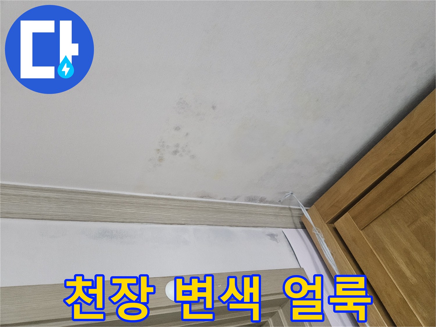 연수구 현장-천장 몰딩과 벽지에 나타난 누수 흔적 및 변색