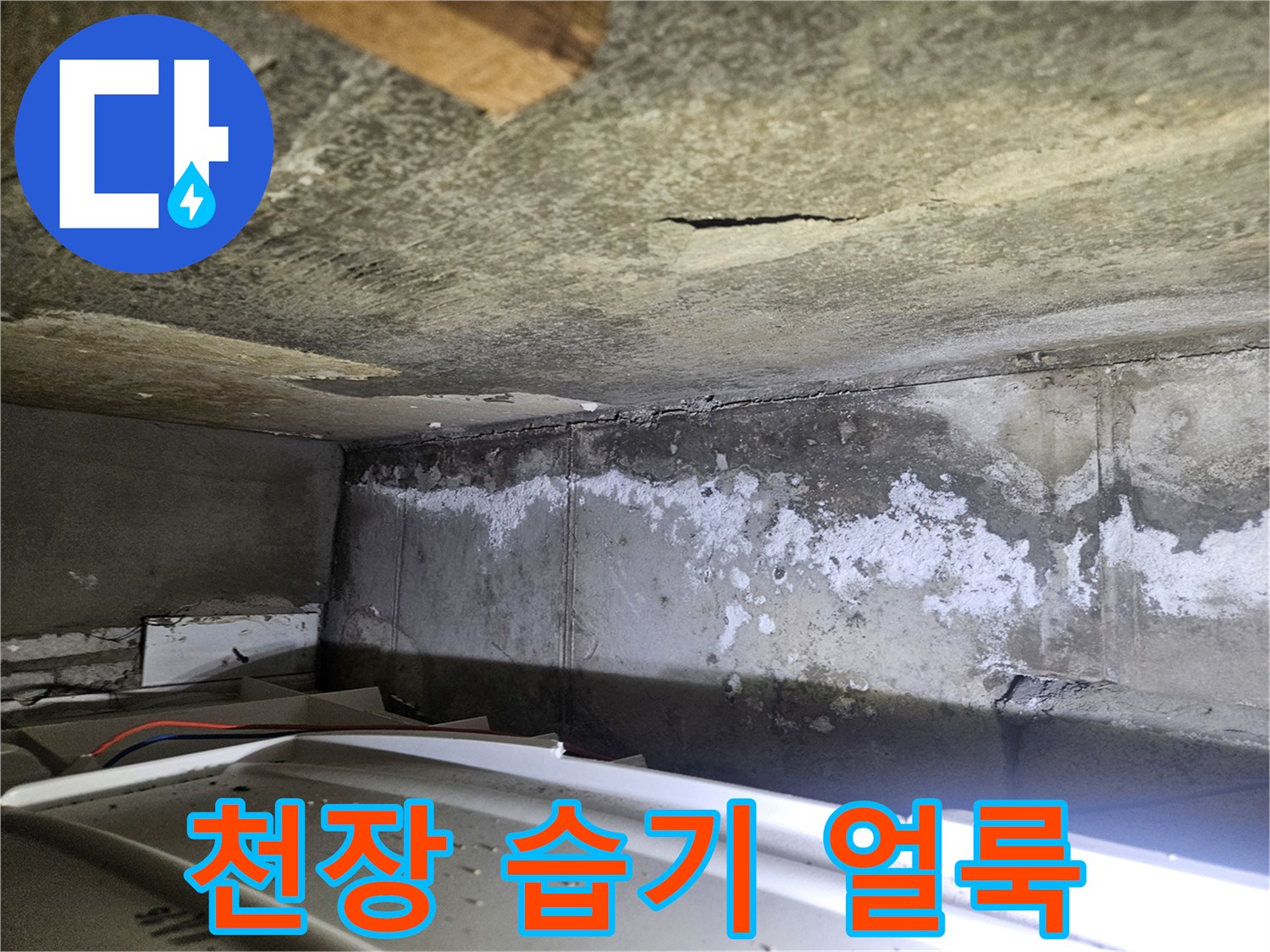 하얀색으로 변색된 천장 콘크리트의 누수 흔적 부위