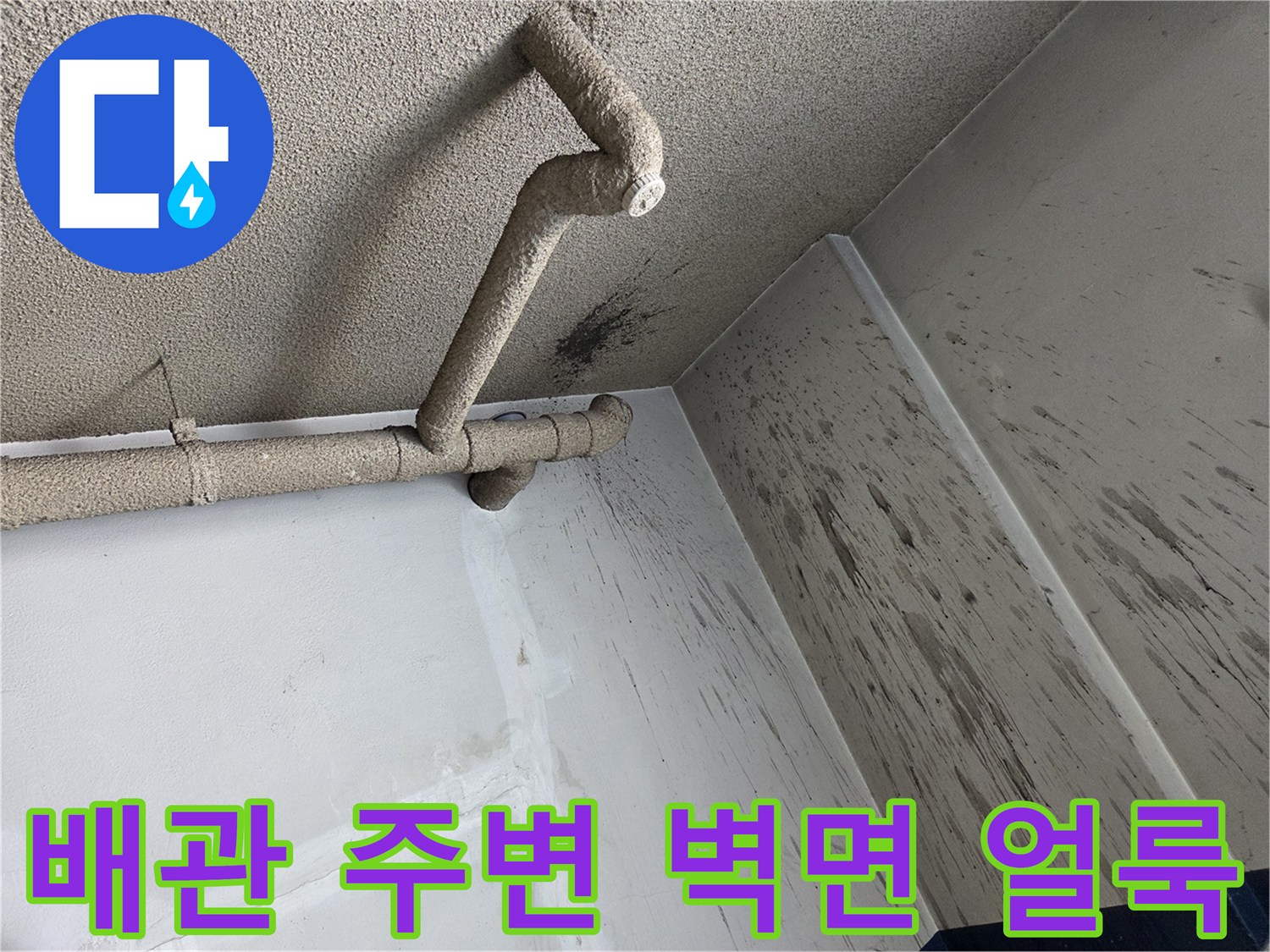 성북구-보문동-천장-배관-및-오염된-벽체