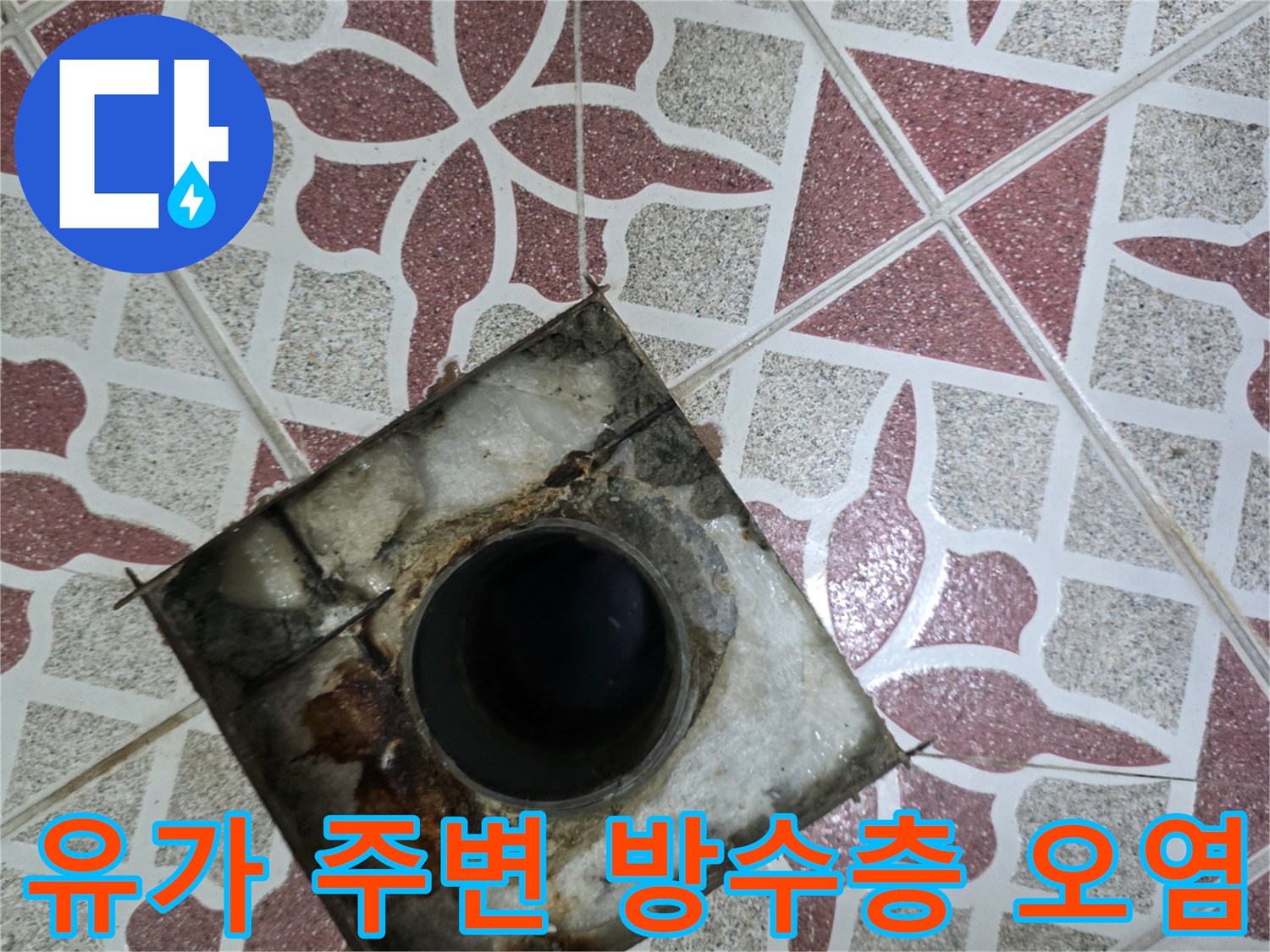 배수구-입구-주변의-심한-오염과-벌어진-타일-틈새