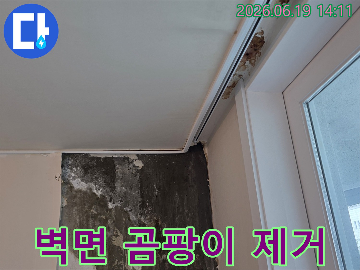 누수로-인해-벽면에-광범위하게-번진-심각한-곰팡이-오염-상태를-보여주는-아파트-내부-현장-사진